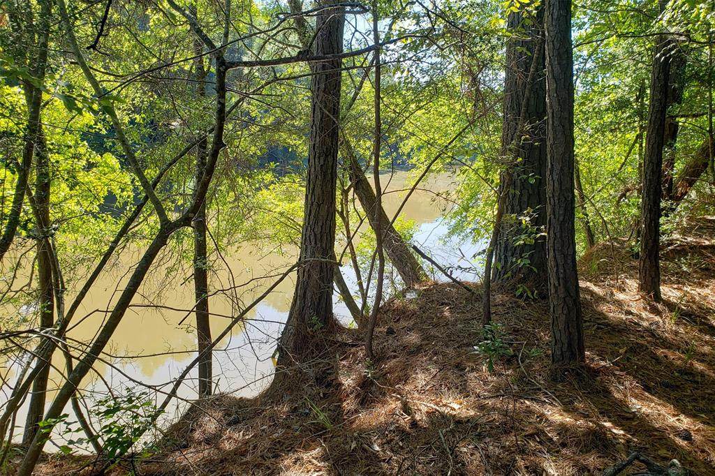 t.b.d. County Road 3930 - Photo 1
