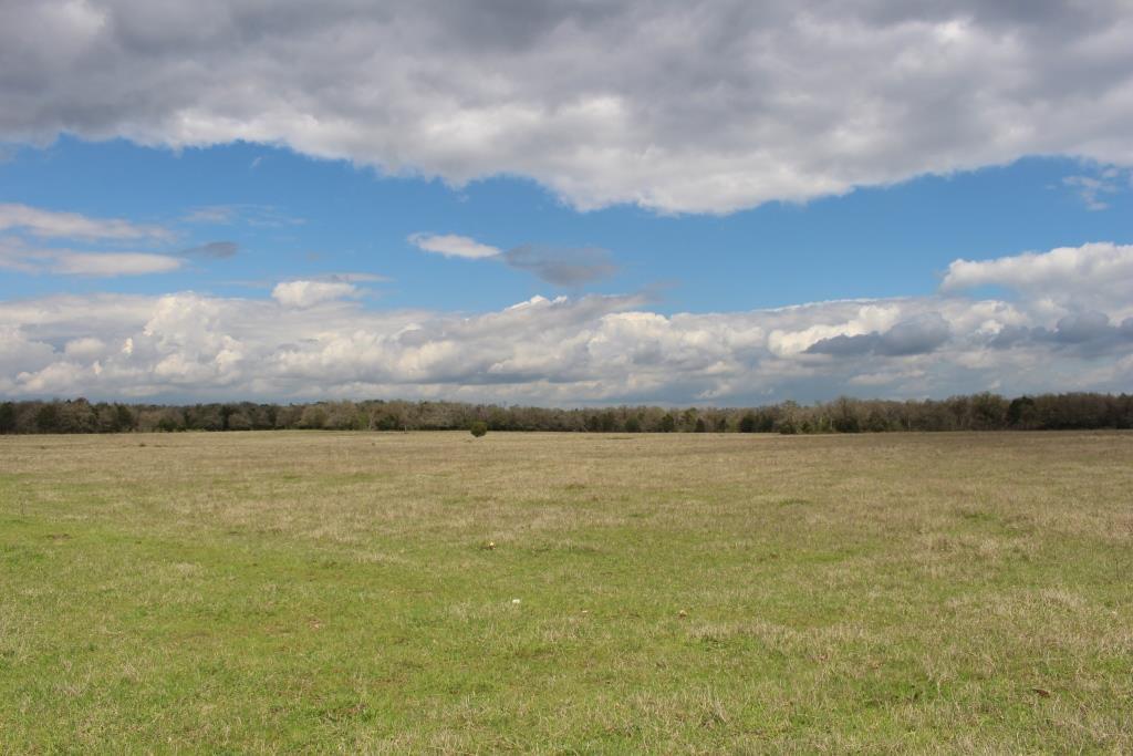 1249 Lange Road - Photo 1