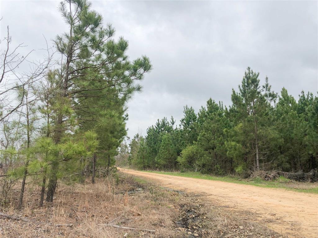 00000 County Road 4429 - Photo 1