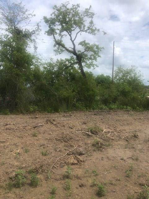 2594 County Road 117 - Photo 1