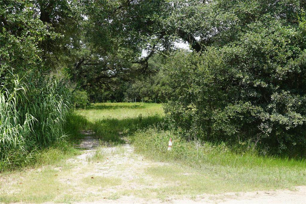 371 County Road 379 - Photo 1