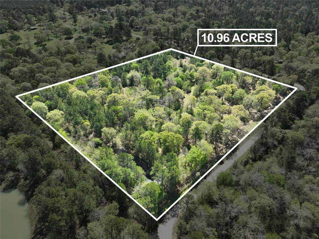 TBD Cr 351 - Photo 1