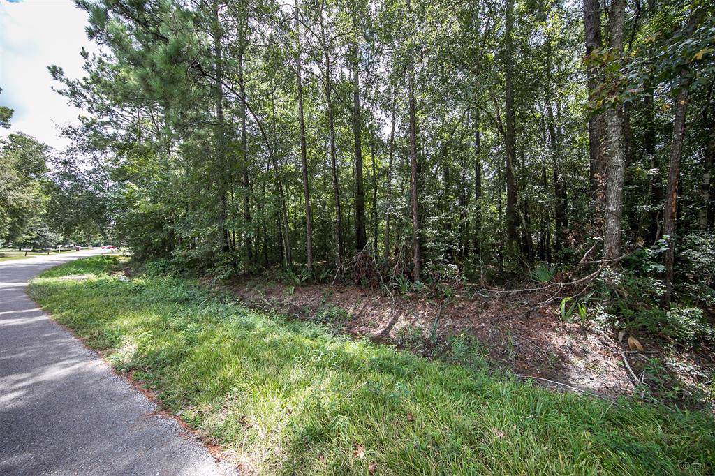 TBD Sweetgum Street - Photo 1