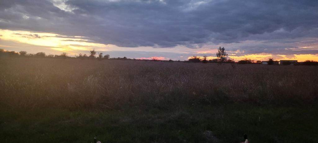 11445 Fm 359 - Photo 1