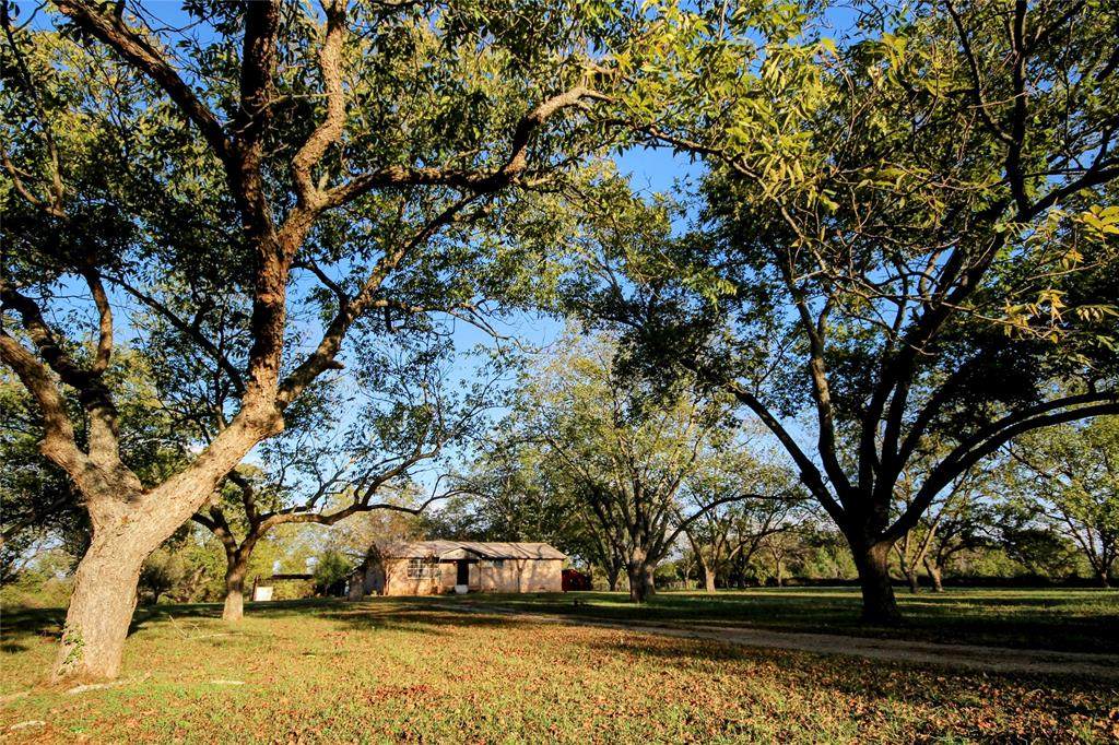 2126 Point Tap Road - Photo 1