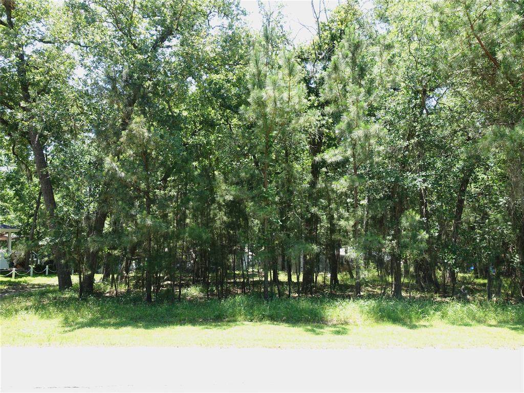 22 Walnut Point Drive - Photo 1