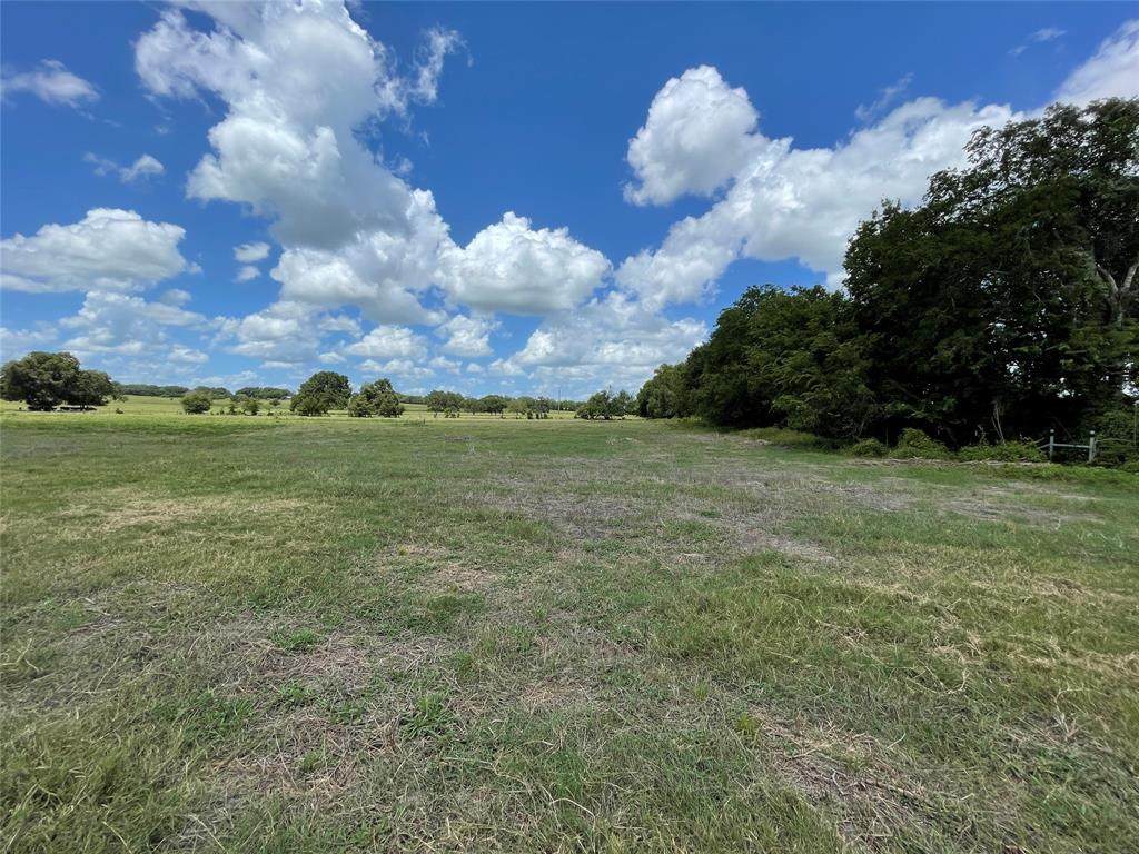 000 Adamek Road - Photo 1