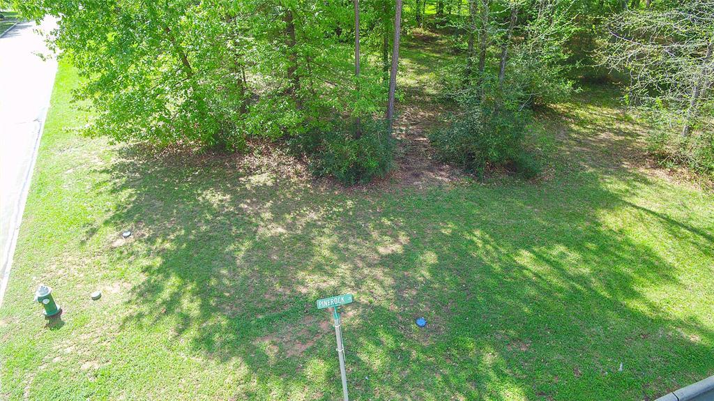 251 Pinerock Lane - Photo 1
