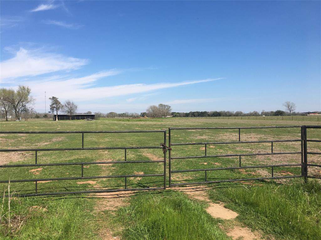 659 Raccoon Bend Road - Photo 1