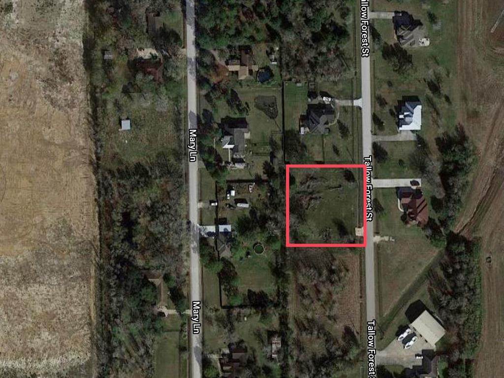3416 Tallow Forest Street - Photo 1