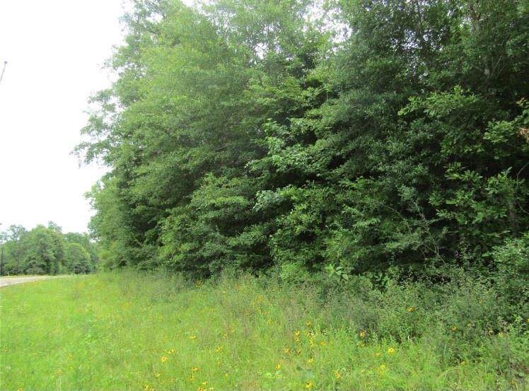 TBD Farm Road 2798 - Photo 1