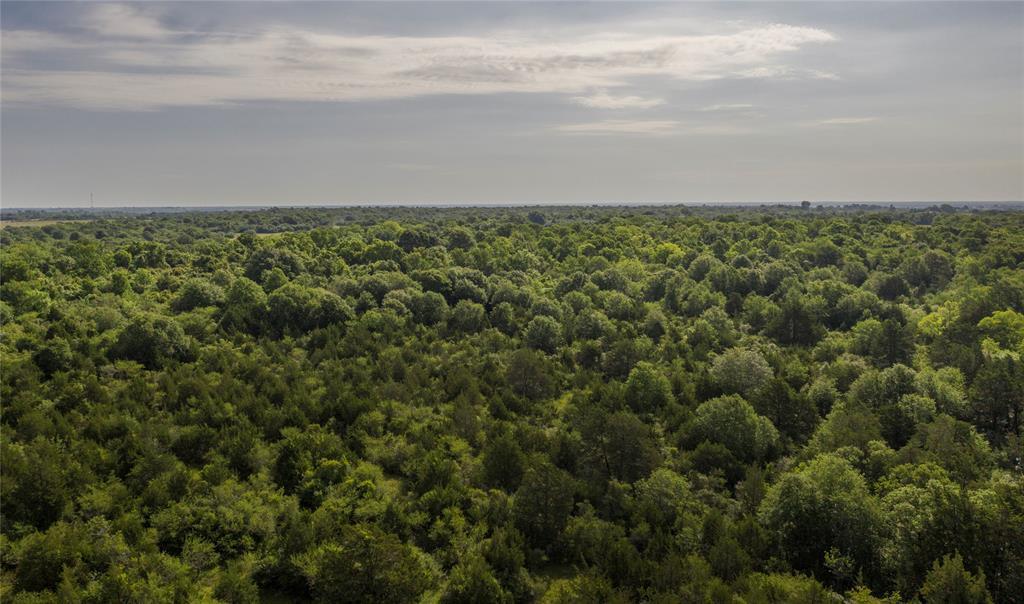 8 Woodland Ranch Lane - Photo 1