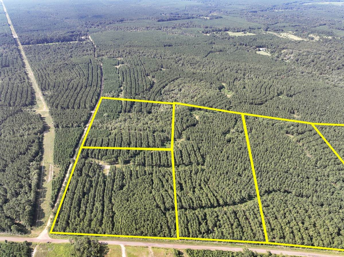 6 County Road 1420 - Photo 1