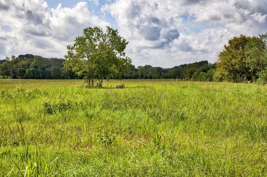 20 County Road 202 - Photo 1