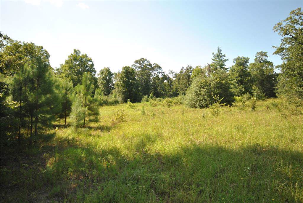 000 White Oak Hills - Photo 1