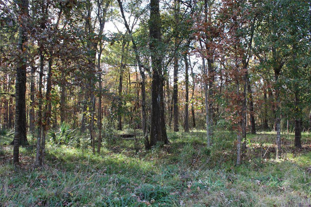 Lot 46 Lincoln Drive - Photo 1