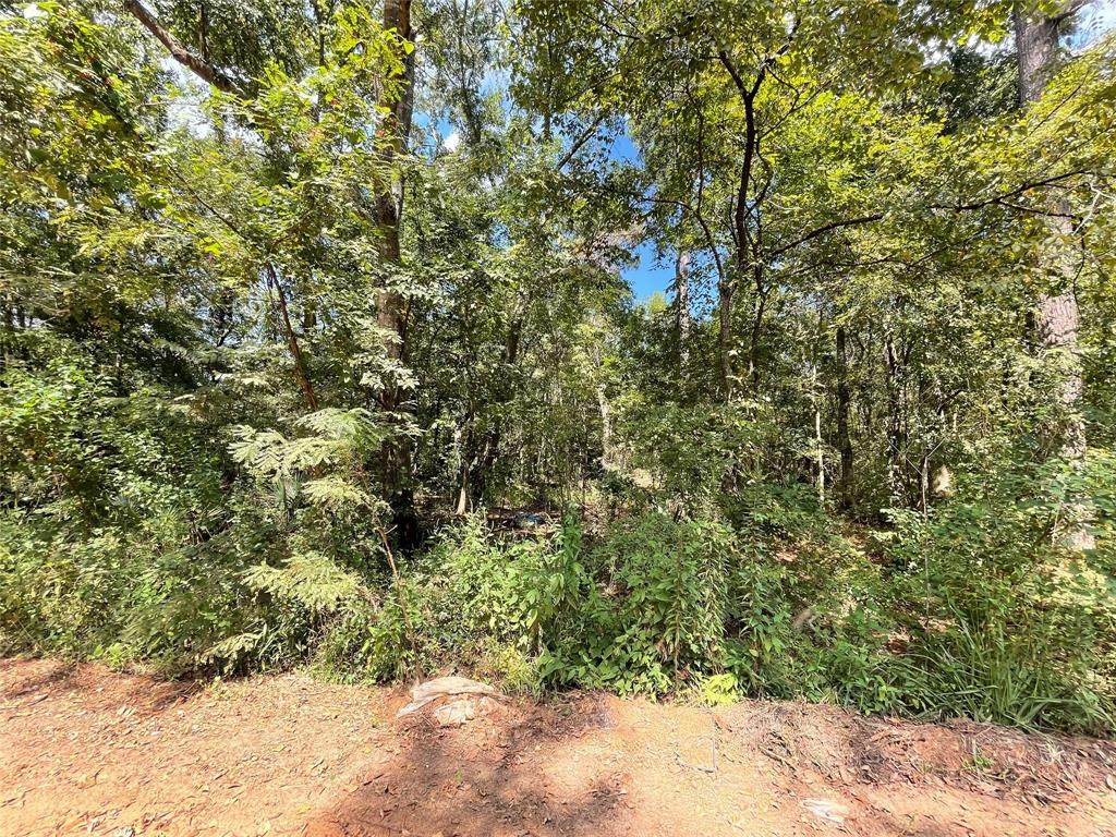 11207 Oakwood Drive - Photo 1