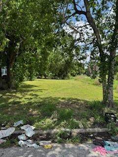 3447 Francis Street - Photo 1