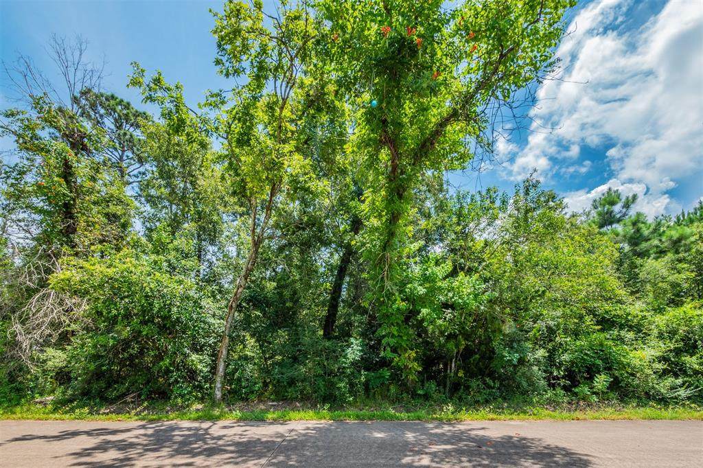 0 Country Club Drive - Photo 1