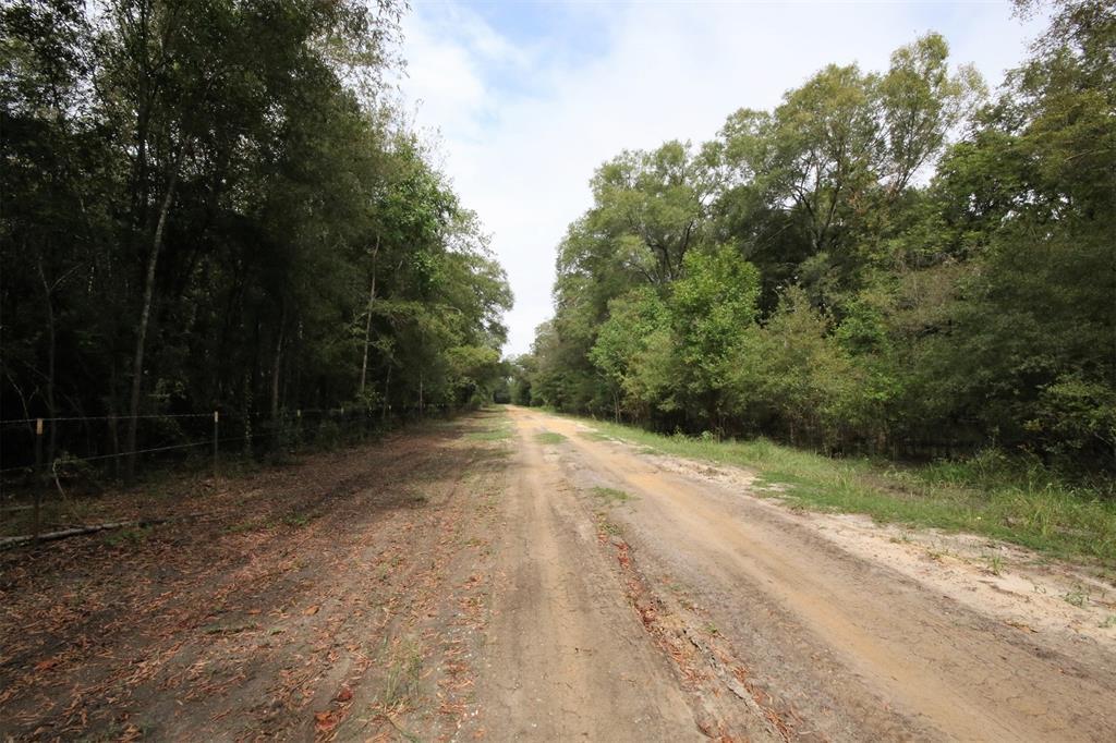 TBD Private Road 1425 - Photo 1
