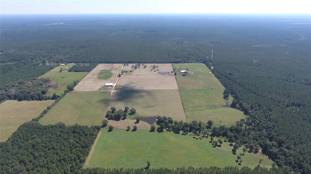 2778 County Road 701 - Photo 1