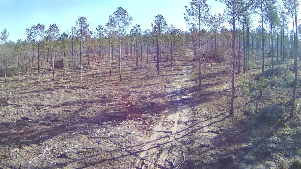 TBD 41 Reveille Road - Photo 1