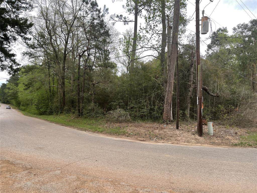 115 Liberty Creek County Road 389 - Photo 1