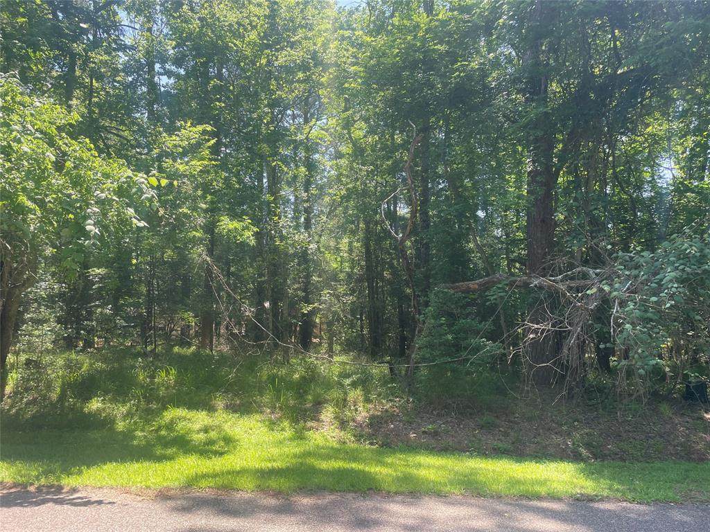 250 Green Tree Drive - Photo 1