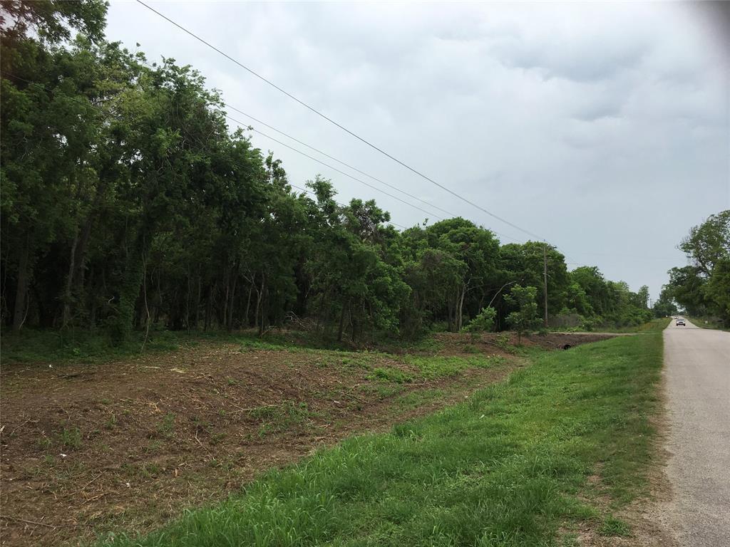 0 County Road 286 Chambliss Road - Photo 1