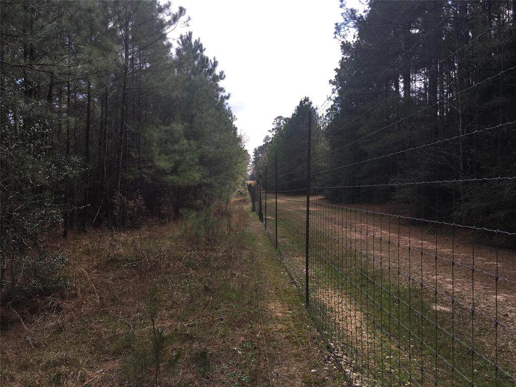 TBD Grey Feather Road - Photo 1
