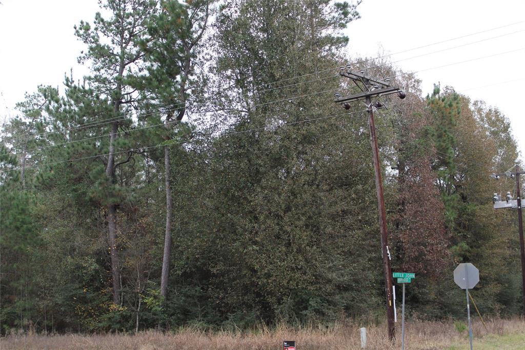 25032 Little John Circle - Photo 1