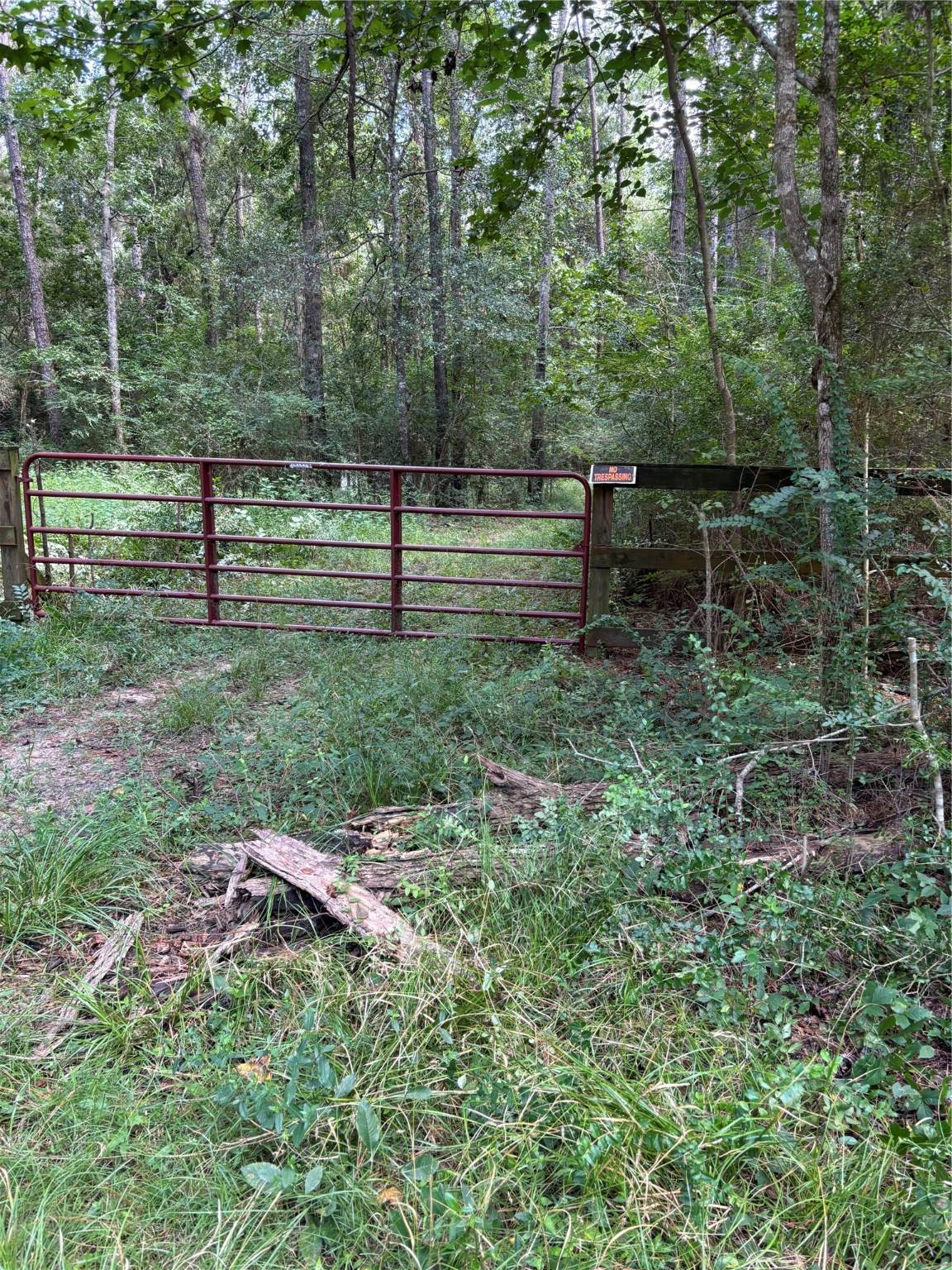 000 Bergman Drive - Photo 1