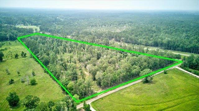 254 County Road 3063 - Photo 1