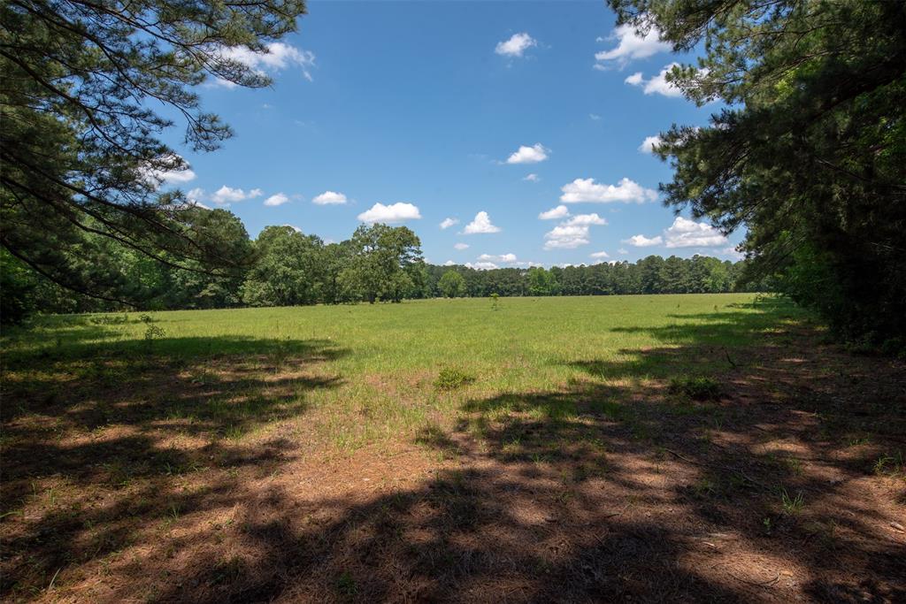 tbd County Road 2770 - Photo 1