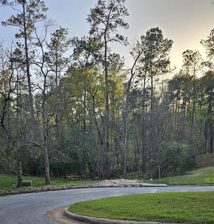 2509 Green Briar Drive - Photo 1
