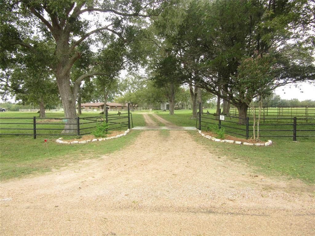 1240 County Road 204 - Photo 1