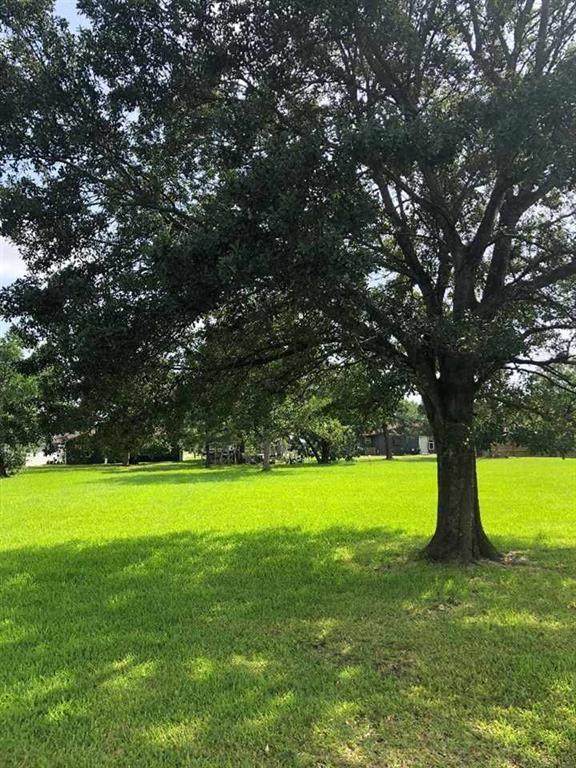 00 Beaumont Avenue - Photo 1