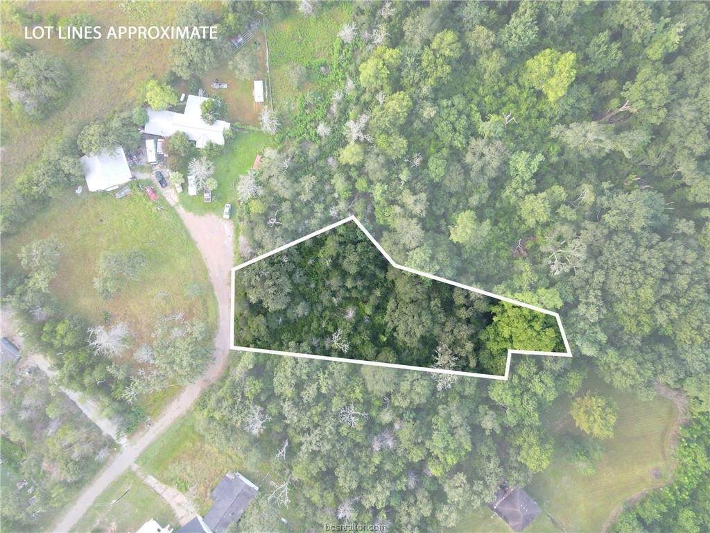 TBD Tanglewood Lane - Photo 1