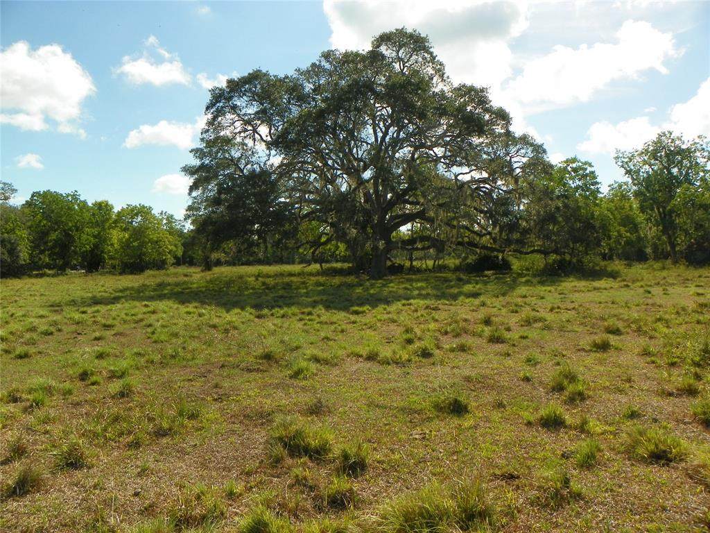 TBD Charlie Meyer Road - Photo 1