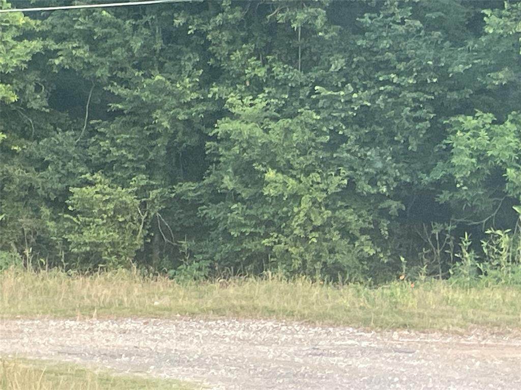 0 Chinquapin Lane - Photo 1