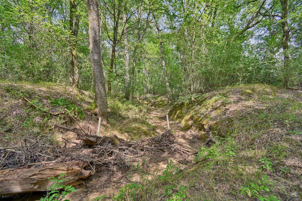 1540 County Road 302 - Photo 1