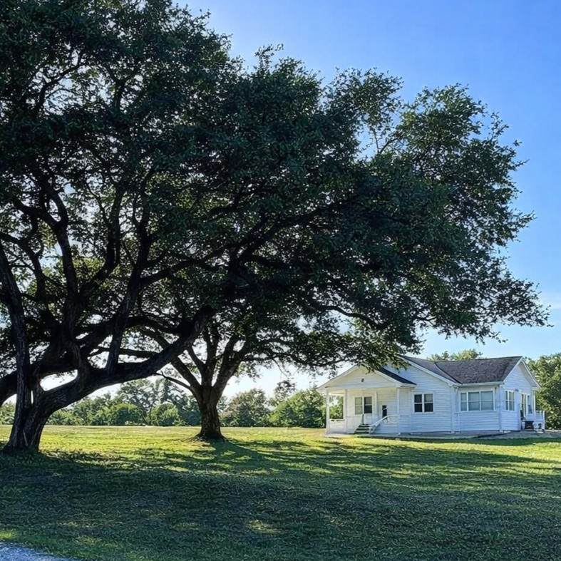 248 County Road 378 - Photo 1