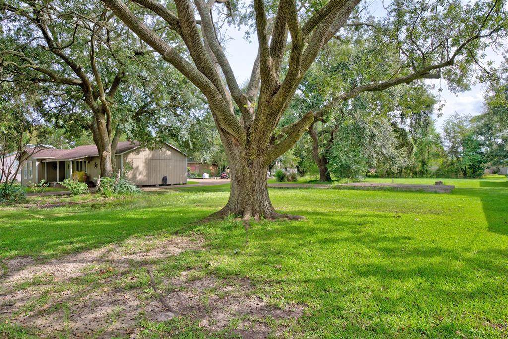 5928 Moonstone Street - Photo 1