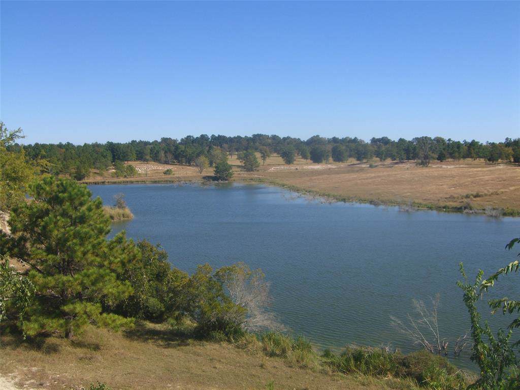 2742 Fm 980 - Photo 1