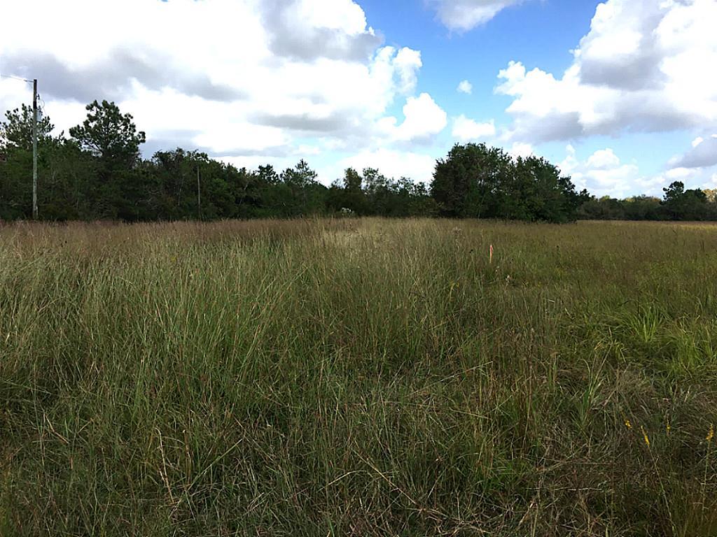 5806 Pecan Park - Photo 1