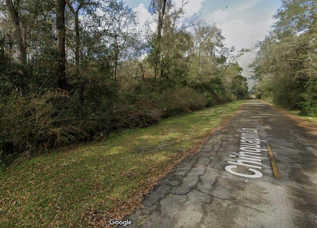 0 Chinquapin Lane - Photo 1