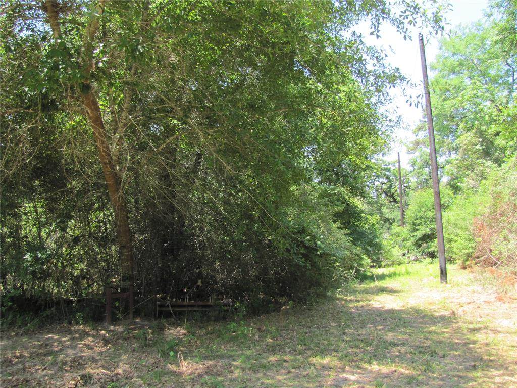 26710 South Creek - Photo 1