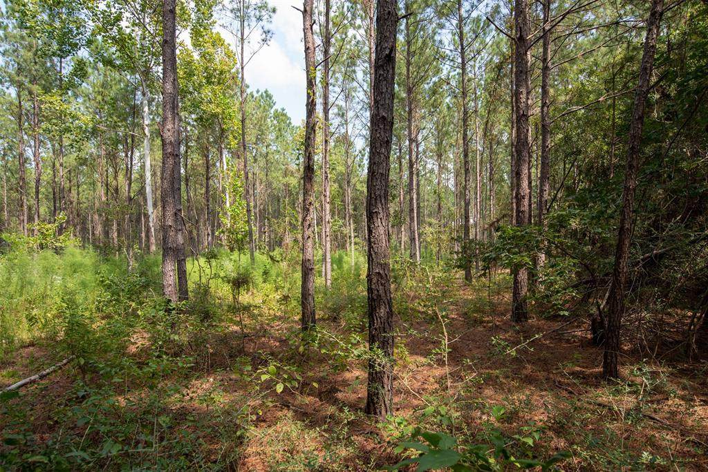 tbd Farm To Market 256 - Photo 1