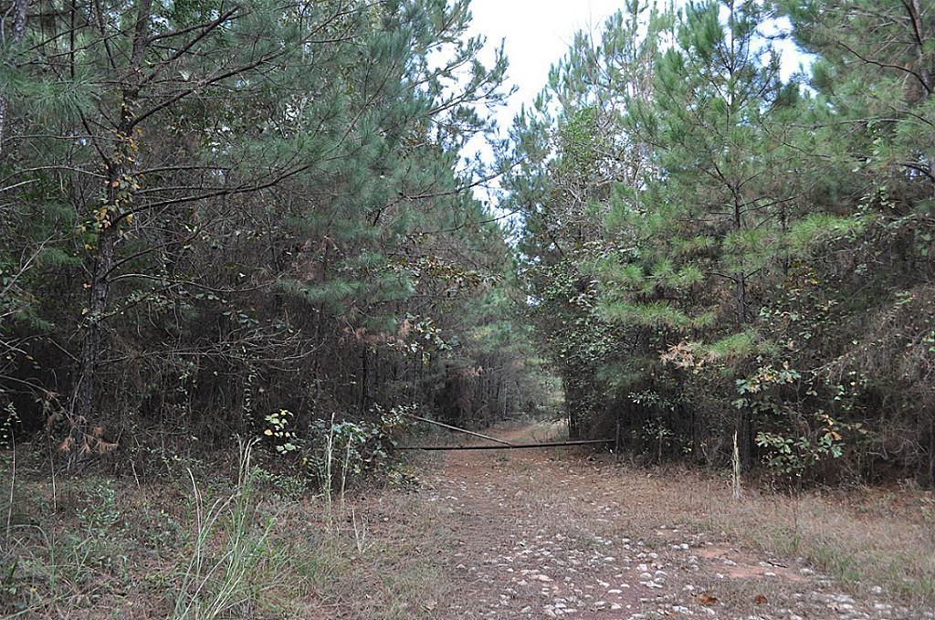 315 Ac Cr 2217 - Photo 1