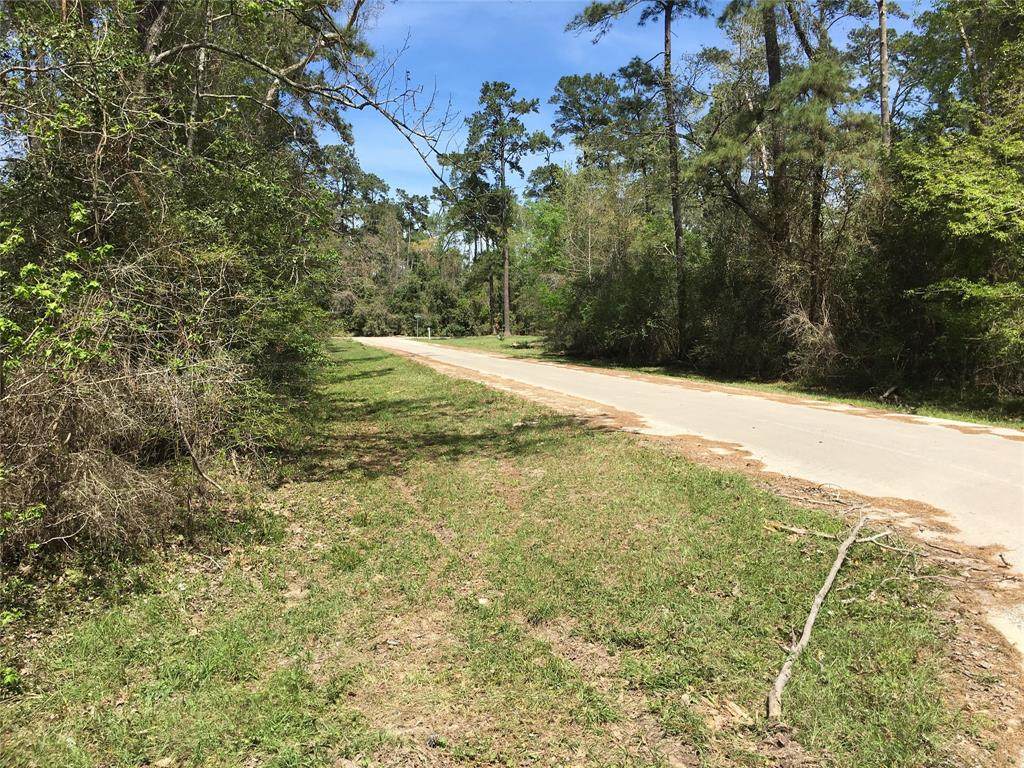 TBD Silverline Drive - Photo 1